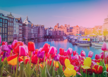 Overview Netherlands