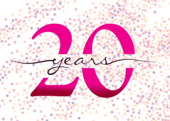Pincvision 20 years overview image
